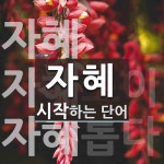 자혜로 시작하는 단어는? 5개