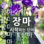 장마로 시작하는 단어는? 40개