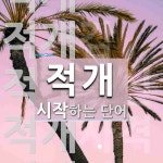 적개로 시작하는 단어는? 7개