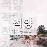 적양으로 시작하는 단어는? 8개