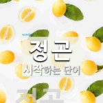 정곤 시작 단어