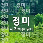 정미로 시작하는 단어는? 27개