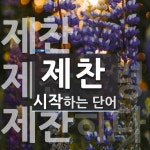제찬 시작 단어