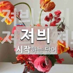 져븨 시작 단어