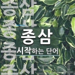 종삼 시작 단어