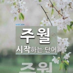 주월로 시작하는 단어는? 1개