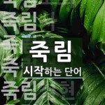 죽림으로 시작하는 단어는? 13개