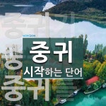 중귀로 시작하는 단어는? 3개