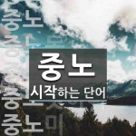 중노로 시작하는 단어는? 11개