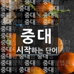 중대로 시작하는 단어는? 59개