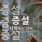 증설로 시작하는 단어는? 7개