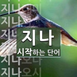 지나로 시작하는 단어는? 27개