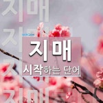 지매 시작 단어