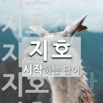 지호로 시작하는 단어는? 5개