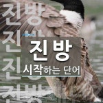 (주)진방이엔씨 | 진방으로 시작하는 단어는? 7개