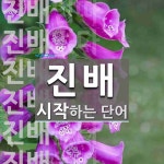 진배로 시작하는 단어는? 11개