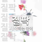 질팍 시작 단어