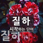 질하로 시작하는 단어는? 2개