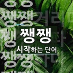 쨍쨍 시작 단어