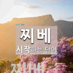 찌베 시작 단어