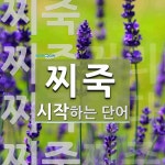 찌죽 시작 단어