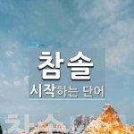 참솔 시작 단어