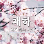 채하 시작 단어
