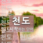 천도로 시작하는 단어는? 18개