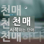 천매로 시작하는 단어는? 3개