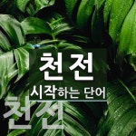 천전으로 시작하는 단어는? 3개