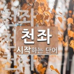 천좌로 시작하는 단어는? 3개