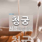 청궁으로 시작하는 단어는? 1개