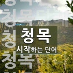 청목 시작 단어