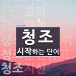 청조로 시작하는 단어는? 13개