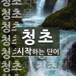 청초로 시작하는 단어는? 15개