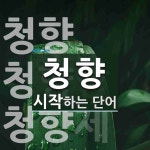 청향 시작 단어