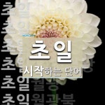초일로 시작하는 단어는? 15개