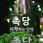 촉당으로 시작하는 단어는? 1개