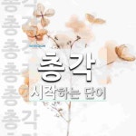 총각 시작 단어