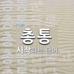 총통으로 시작하는 단어는? 9개