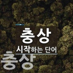 충상으로 시작하는 단어는? 3개