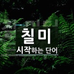 칠미로 시작하는 단어는? 3개