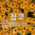 칩코로 시작하는 단어는? 1개