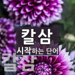 칼삼으로 시작하는 단어는? 2개