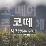 코떼 시작 단어