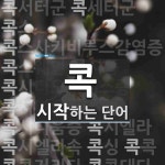 콕으로 시작하는 단어는? 41개