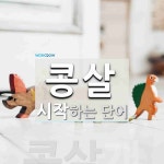 콩살로 시작하는 단어는? 1개