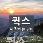 퀵스로 시작하는 단어는? 4개