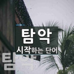 탐악 시작 단어