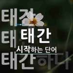 태간으로 시작하는 단어는? 3개